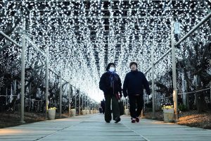 Ashikaga Flower Park Dazzles with ‘Flower Fantasy’ Winter Illumination