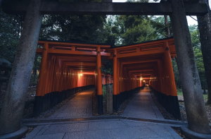 Bamboo trees vandalized near Kyoto’s Fushimi Inari shrine; graffiti prevalent