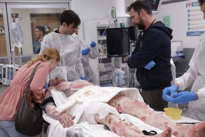 HBO Max Rolls Out in 8 European Territories, Announces New Prime Video Bundling Deal