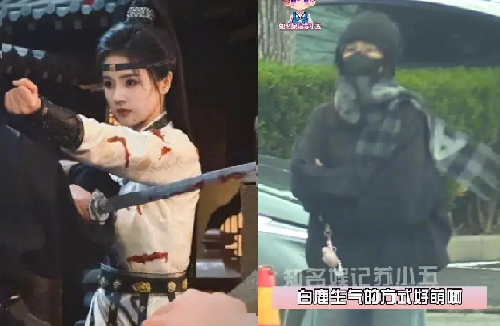 Actress Bai Lu Confronts Overtly Obsessive Fan Amid Escalating Harassment