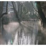 Resilience in Reel: Qumra Goes Virtual, Champions Diverse Voices Despite Middle East Tensions