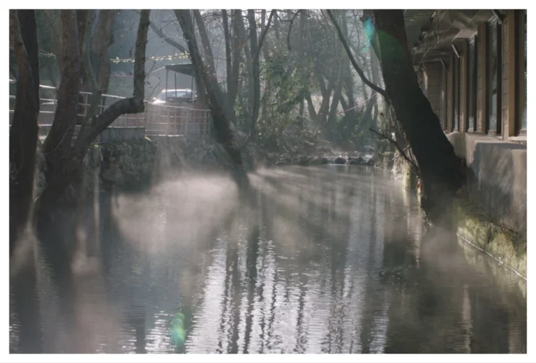 Resilience in Reel: Qumra Goes Virtual, Champions Diverse Voices Despite Middle East Tensions